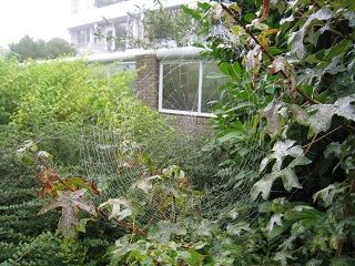 IMG_0022