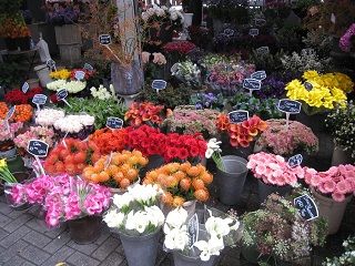 IMG_0072