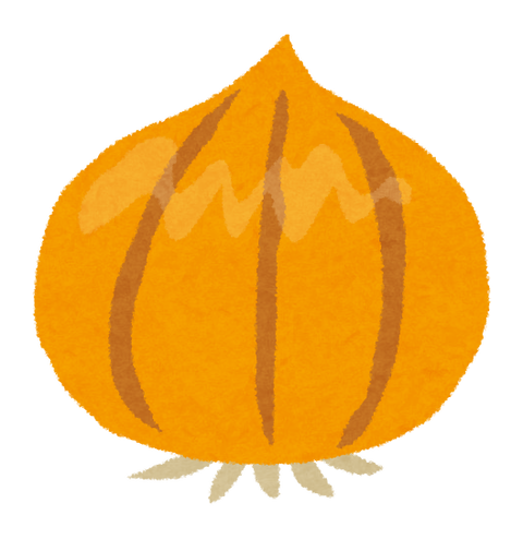 tamanegi_onion (1)