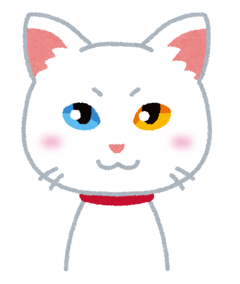 【謎】オタクはなぜオッドアイが好きなのか