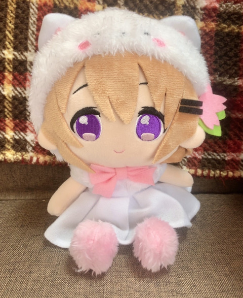 【画像】男なのにぬいぐるみと寝てたらイタイか？