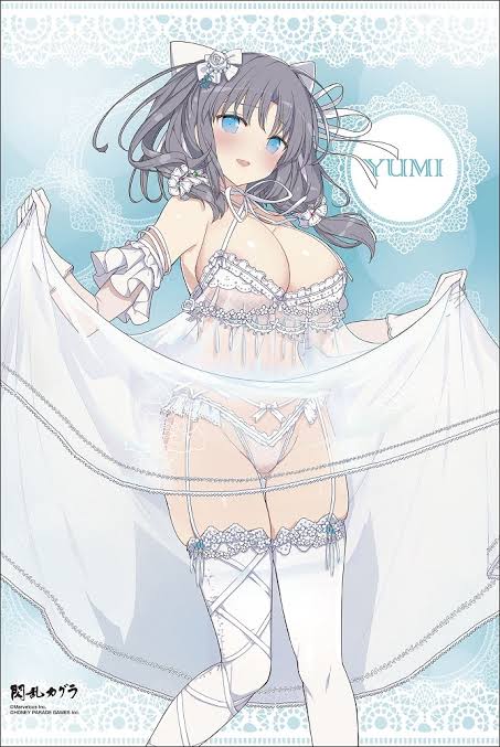 【画像】閃乱カグラで1番Hなお胸ちゃんといえば？