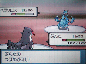 ポケットモンスターダイヤモンド パール攻略5ミオシティ キッサキシティ 希羅野の隠れ屋 ポケットモンスターダイヤモンド パール攻略5ミオシティ キッサキシティ 希羅野の隠れ屋