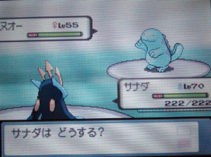 ポケットモンスターダイヤモンド パール攻略１３ポケモンリーグ 希羅野の隠れ屋