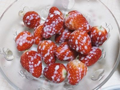 イメージ 9