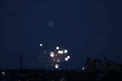 イメージ 7