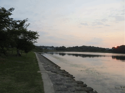 洲原公園朝散歩 海老フライ 酢の物 きららきらら 洲原公園朝散歩 海老フライ 酢の物 きららきらら