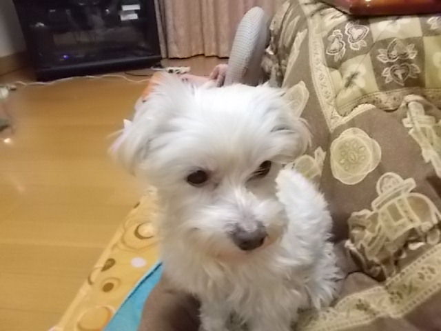 イメージ 3