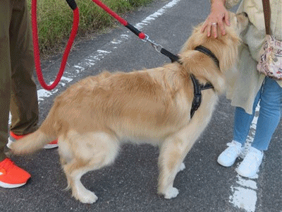 531~547 ジェリー 3才