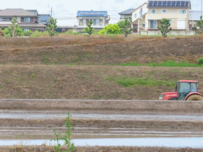 563~574 田植えの準備