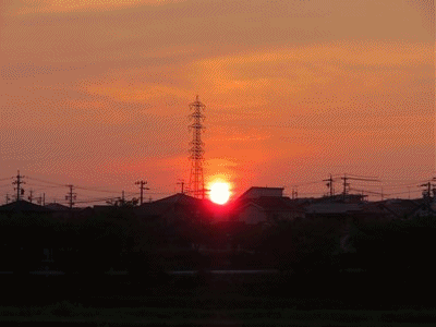 イメージ 9