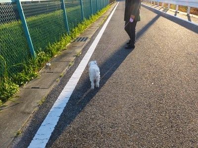 イメージ 34