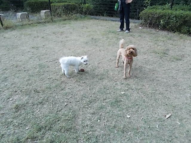 イメージ 2