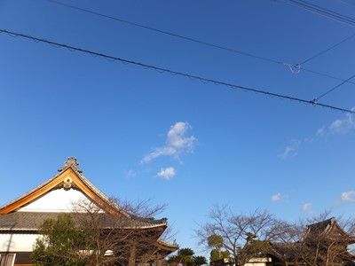 イメージ 8