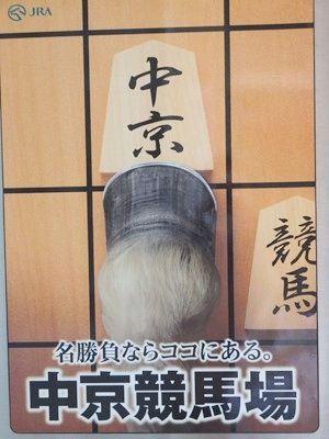 イメージ 17
