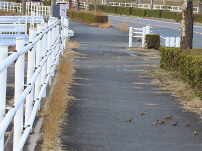 7871~7904 癒しの時間です