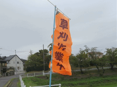 096~116 花は残して草刈り中