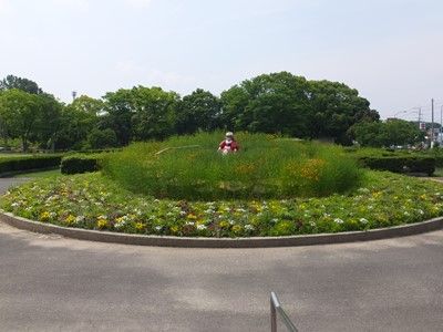 イメージ 2