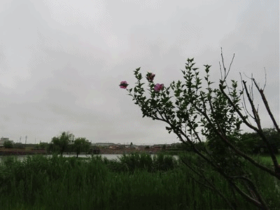 436~439