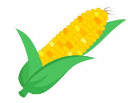 イメージ 9