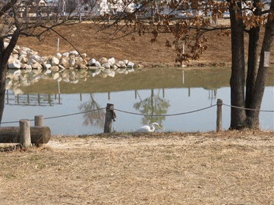 101~115  13.45   エサ探し