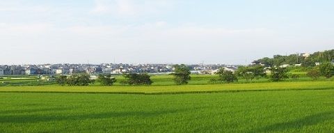 イメージ 12