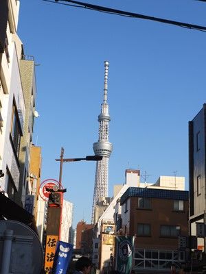 イメージ 7