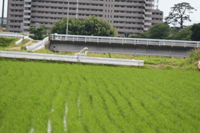 イメージ 6
