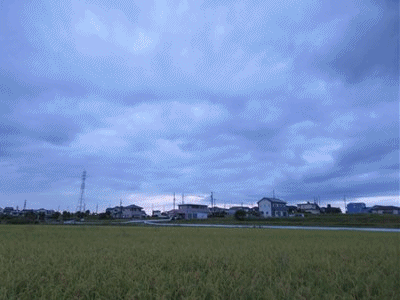 212~216  雨降りそう