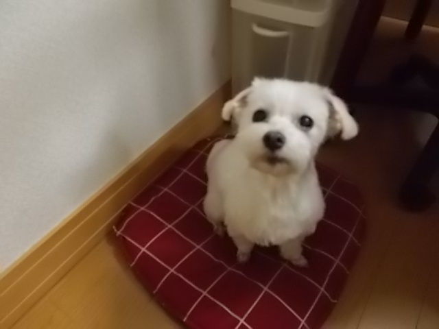 イメージ 2