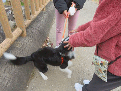 878~899 ルナちゃん