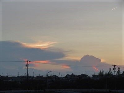 s-IMG_8595