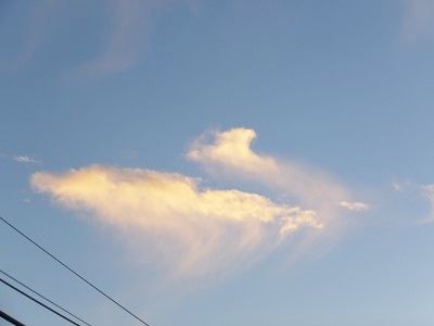 イメージ 7
