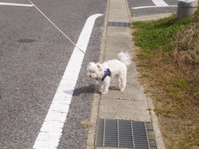 イメージ 1