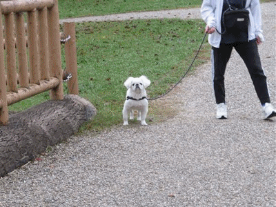 589~605 テルちゃん