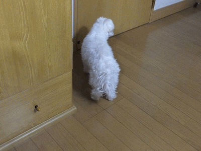 イメージ 9