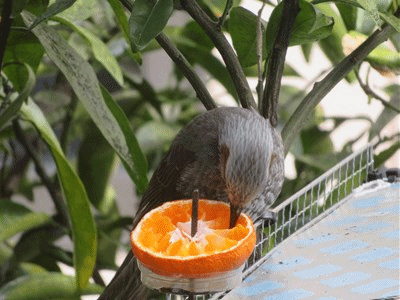 646~655 1時間以上