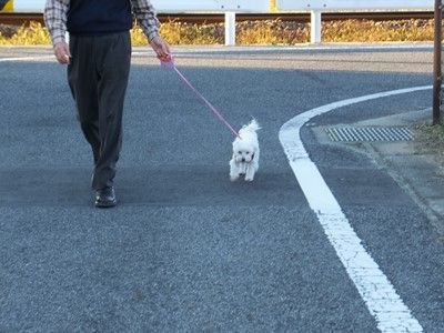 イメージ 35