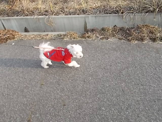イメージ 9