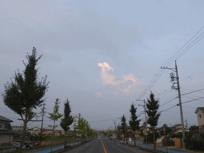 イメージ 2