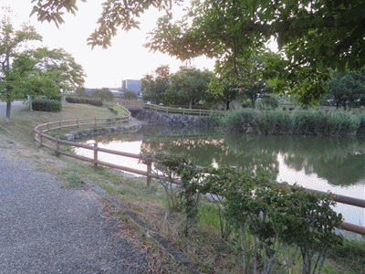 406~411 釣り人来ず