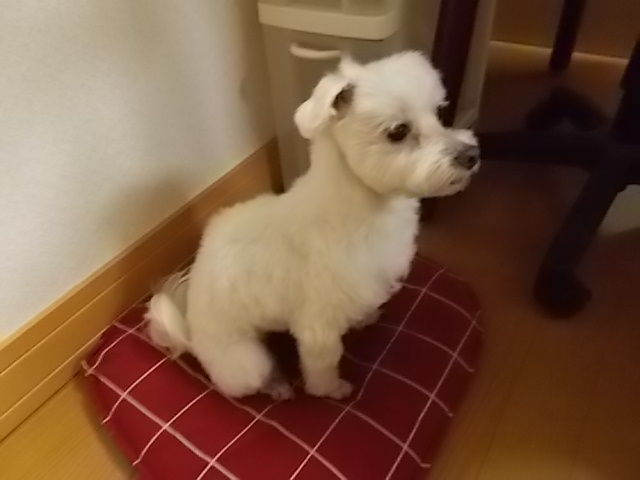 イメージ 3