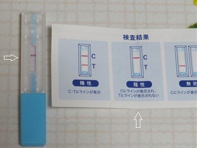 288 陰性