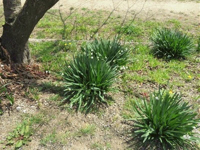 21年03月13日 きららきらら