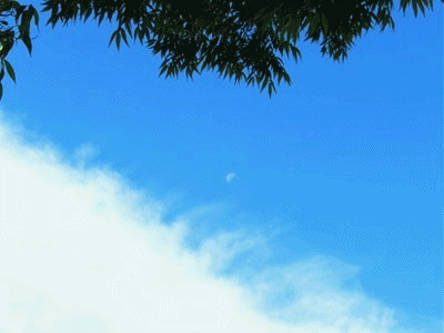 944~954