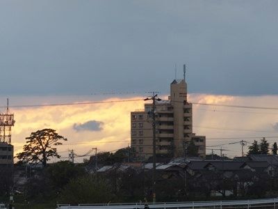 イメージ 6