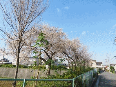 イメージ 6