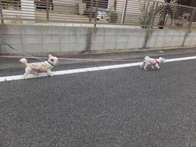 イメージ 15
