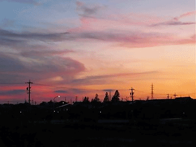 2064~2065 19.20