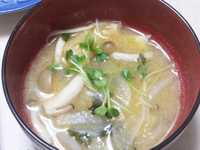 イメージ 12